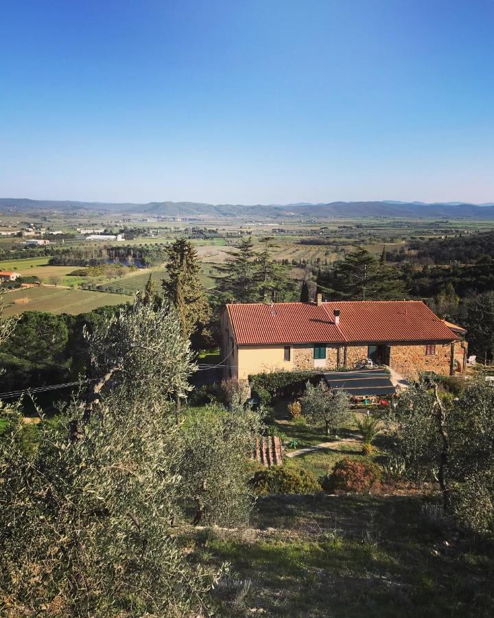 Podere Baloo Suvereto Exteriör bild