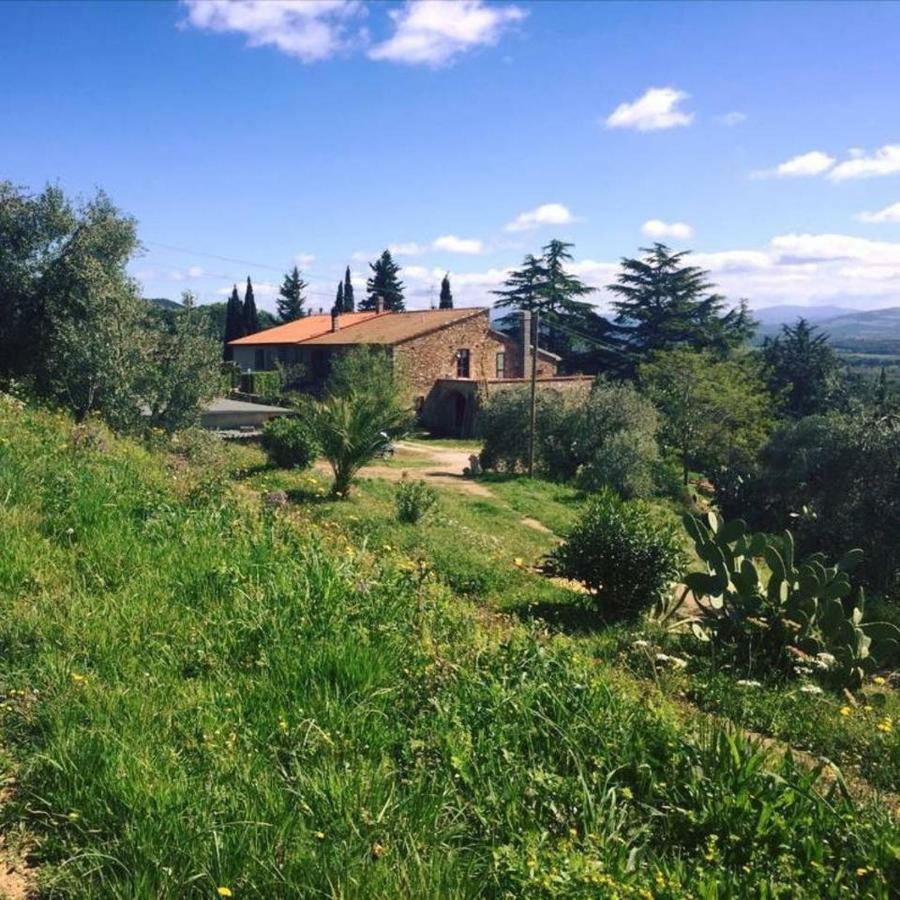 Podere Baloo Suvereto Exteriör bild
