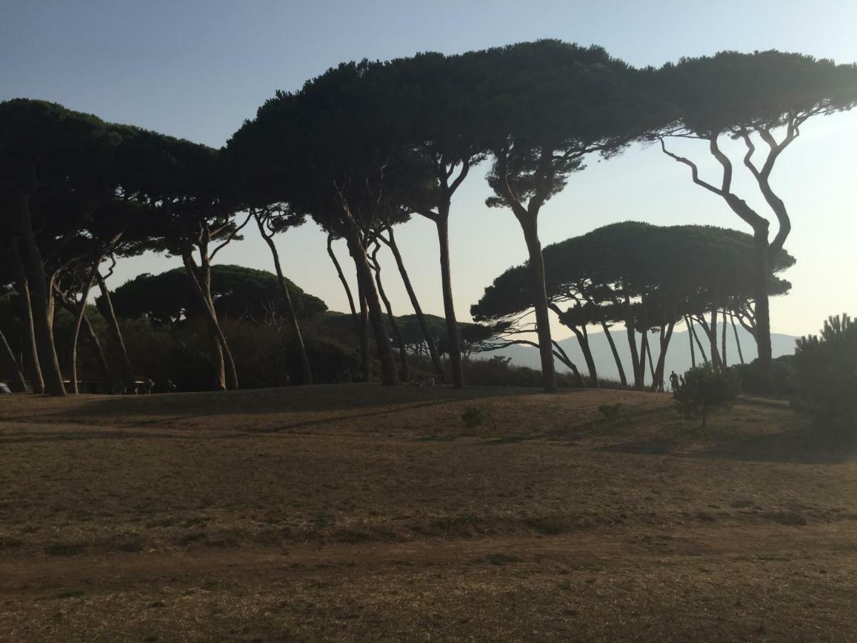 Podere Baloo Suvereto Exteriör bild